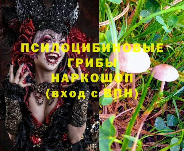 эйфоретик Абинск