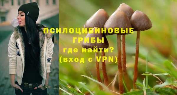 сатива Абдулино
